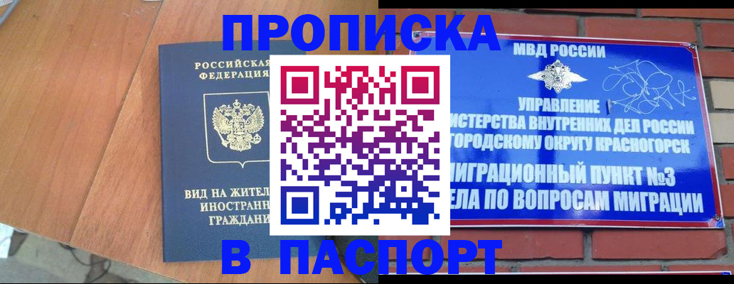 найти адрес прописки в Лосино-Петровском